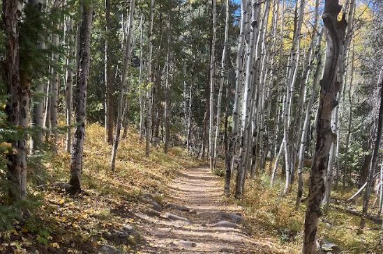 Meyer Ranch Trails